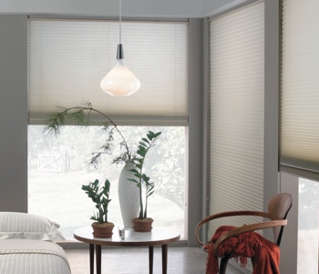 honeycomb shades in Charlotte house